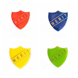 Enamel Shield Pin Badge - Merit