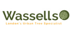 Tree Felling Experts in the City of London