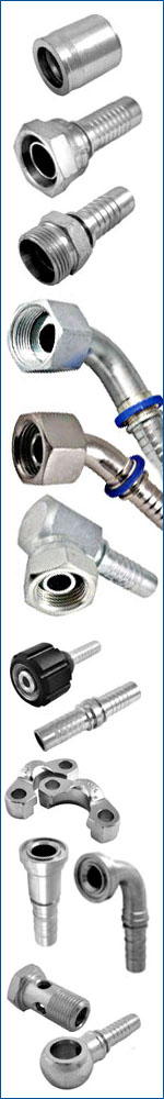 Hose and Couplings