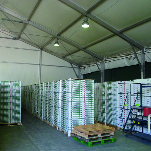 Temporary Warehouse Storage Solutions