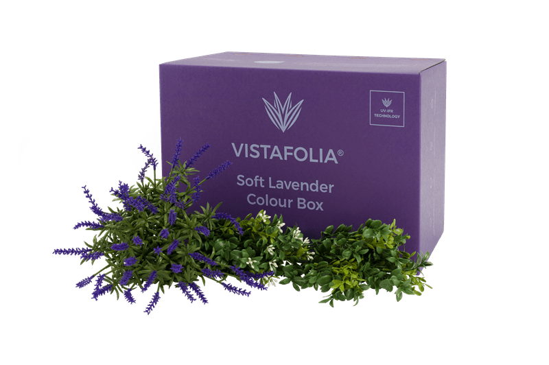 Soft Lavender Colour Box
