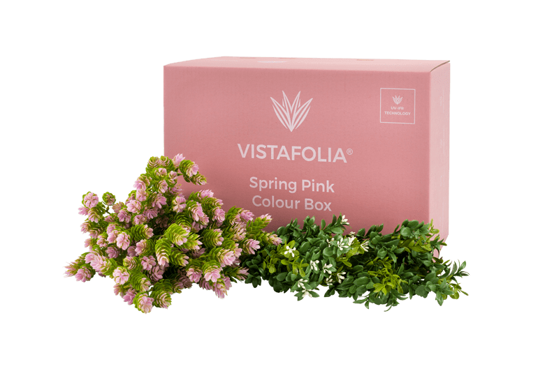 Spring Pink Colour Box