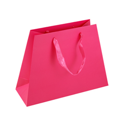 Medium Dark Pink Paper Gift Bags
