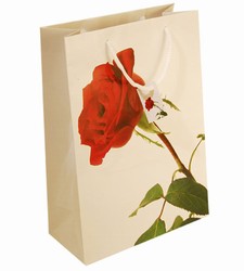 Medium Red Rose Paper Bags with Gift Tag