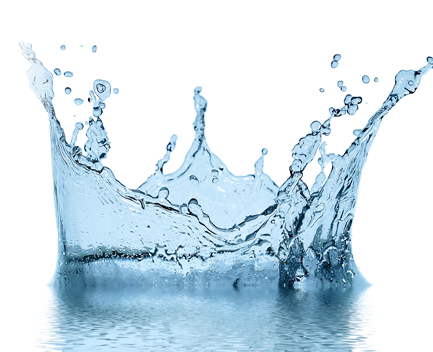Intelligent Water Solutions