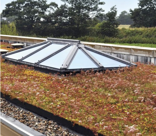 Green Roofing