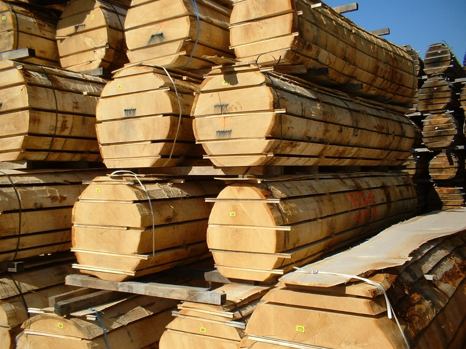 Sawn Hardwood Suppliers