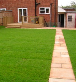 Lawn Turf Suppliers