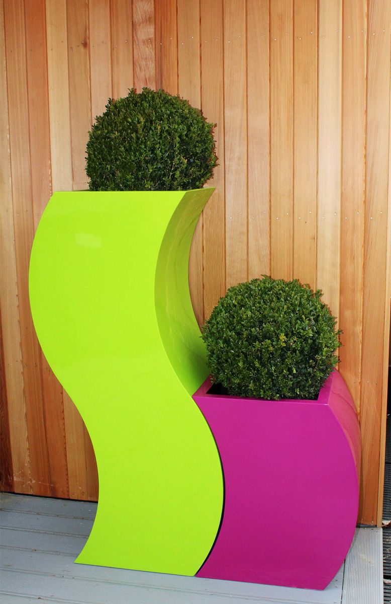 Buxus Ball in Curvy ‘S’ Planter