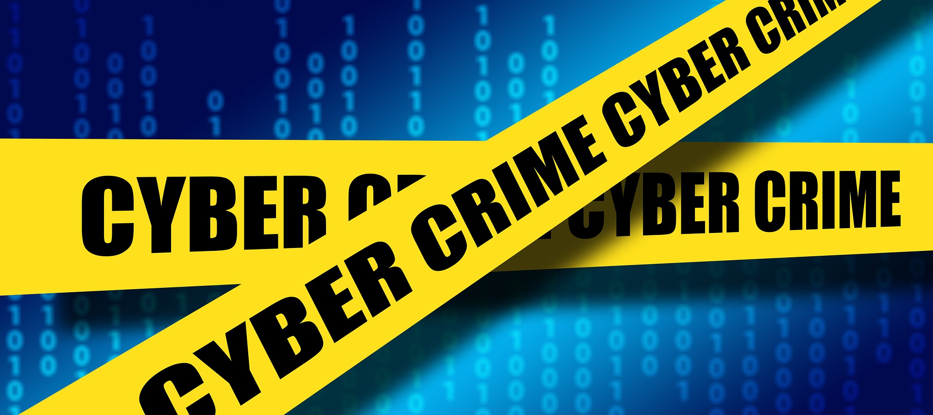 Fraud & Cyber-Crime