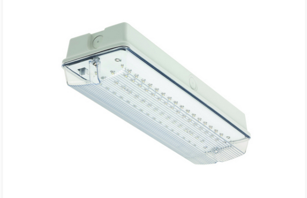LED Bulkhead Maintained Emergency Light 2.5W