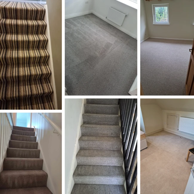 carpet cleaning by Mint Handover
