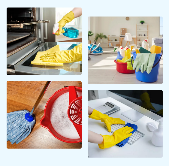 Professional Cleaning Services