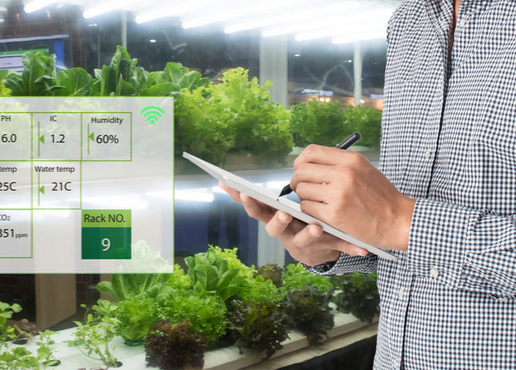 Greenhouse Window / Vent Openers