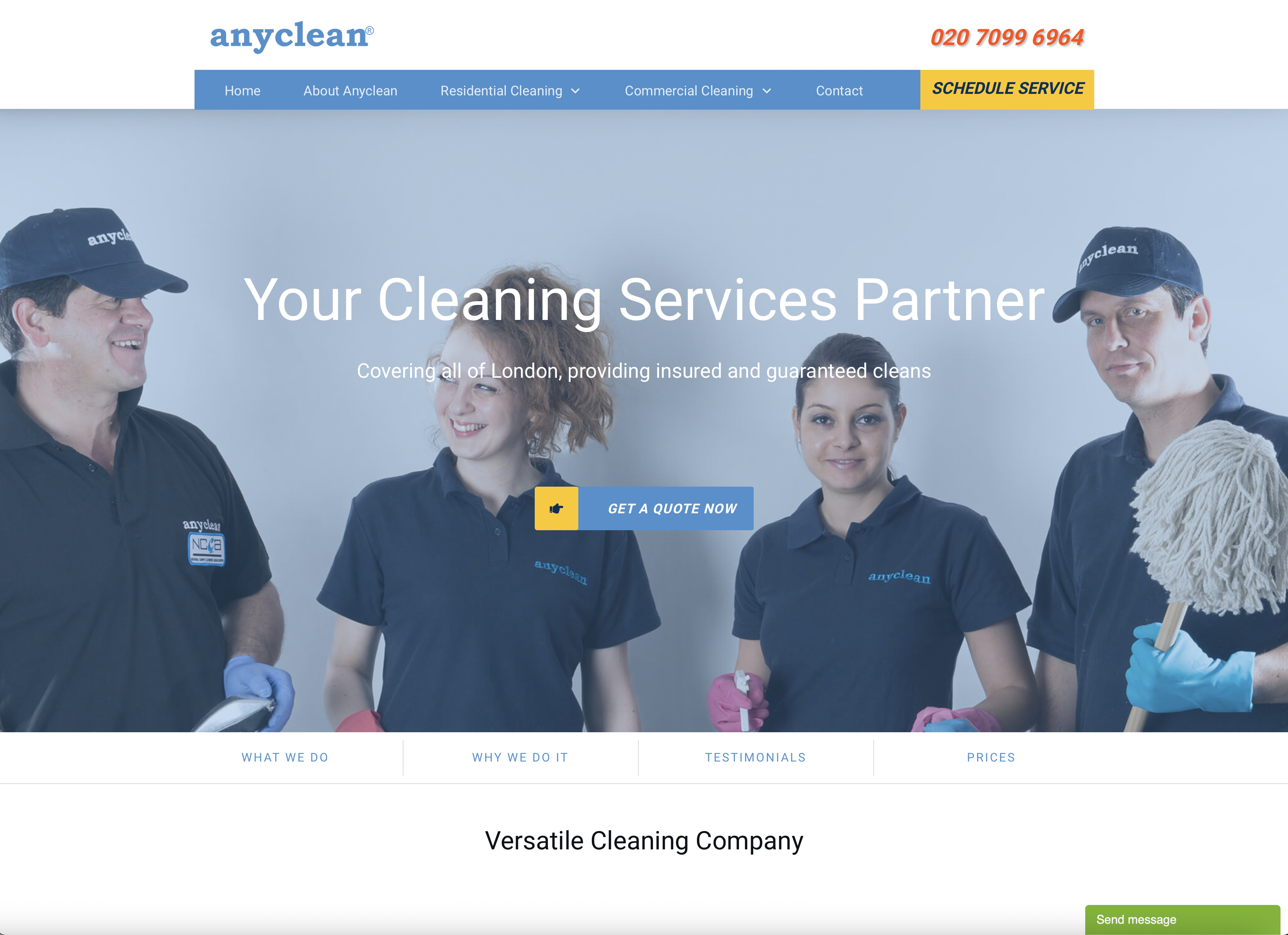 Anyclean website
