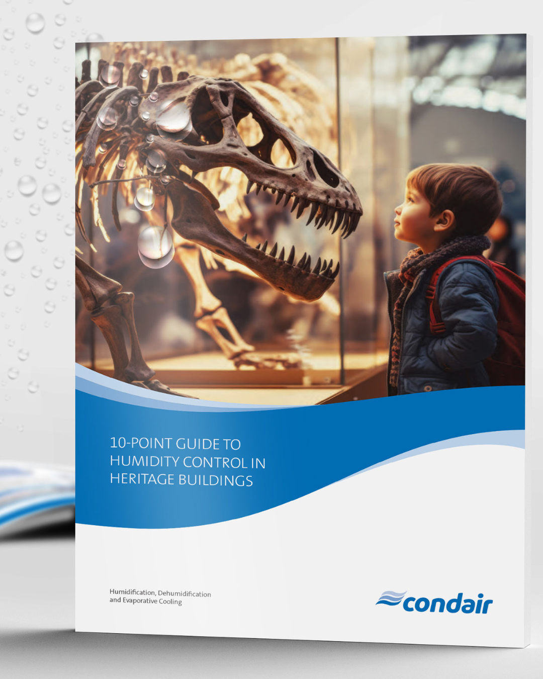 10 Point Guide to Heritage Humidity Control