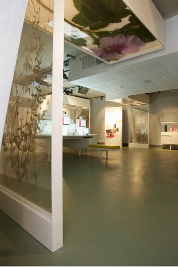 Case Studies: Darwin Centre, Natural History Museum