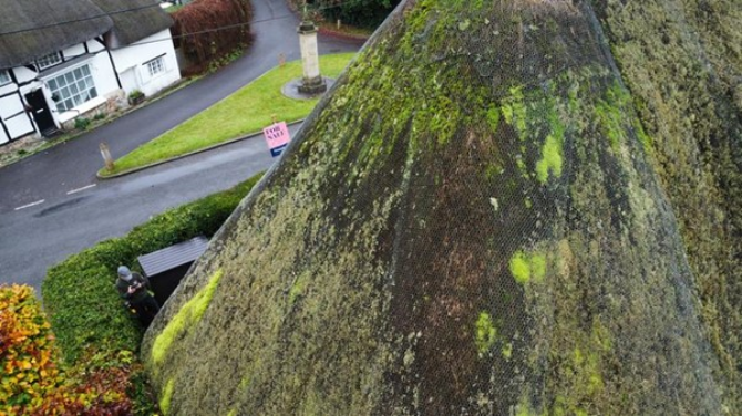 Case Study: Thatch Roof