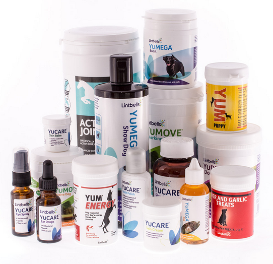 Tamper-Evident Security Labels