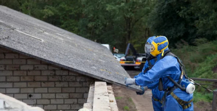 Asbestos Removal Services