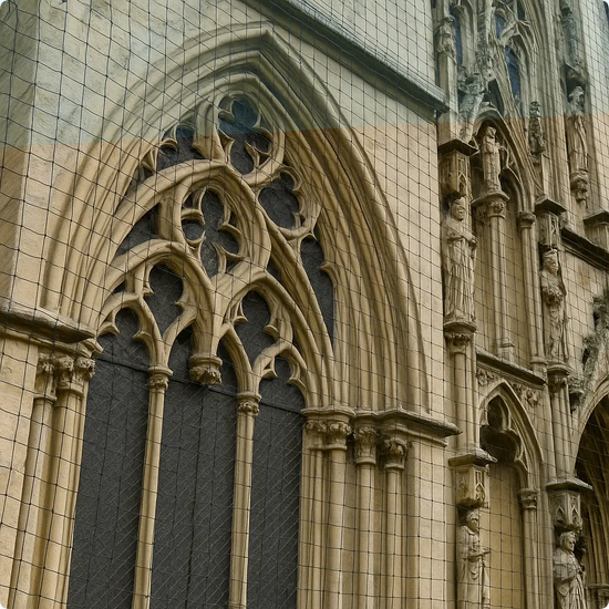 Bird Netting for Buildings & Crops