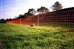 50m x 0.5m Standard Rabbit/Badger Net - Orange