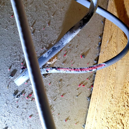 Workplace Pest Control Services