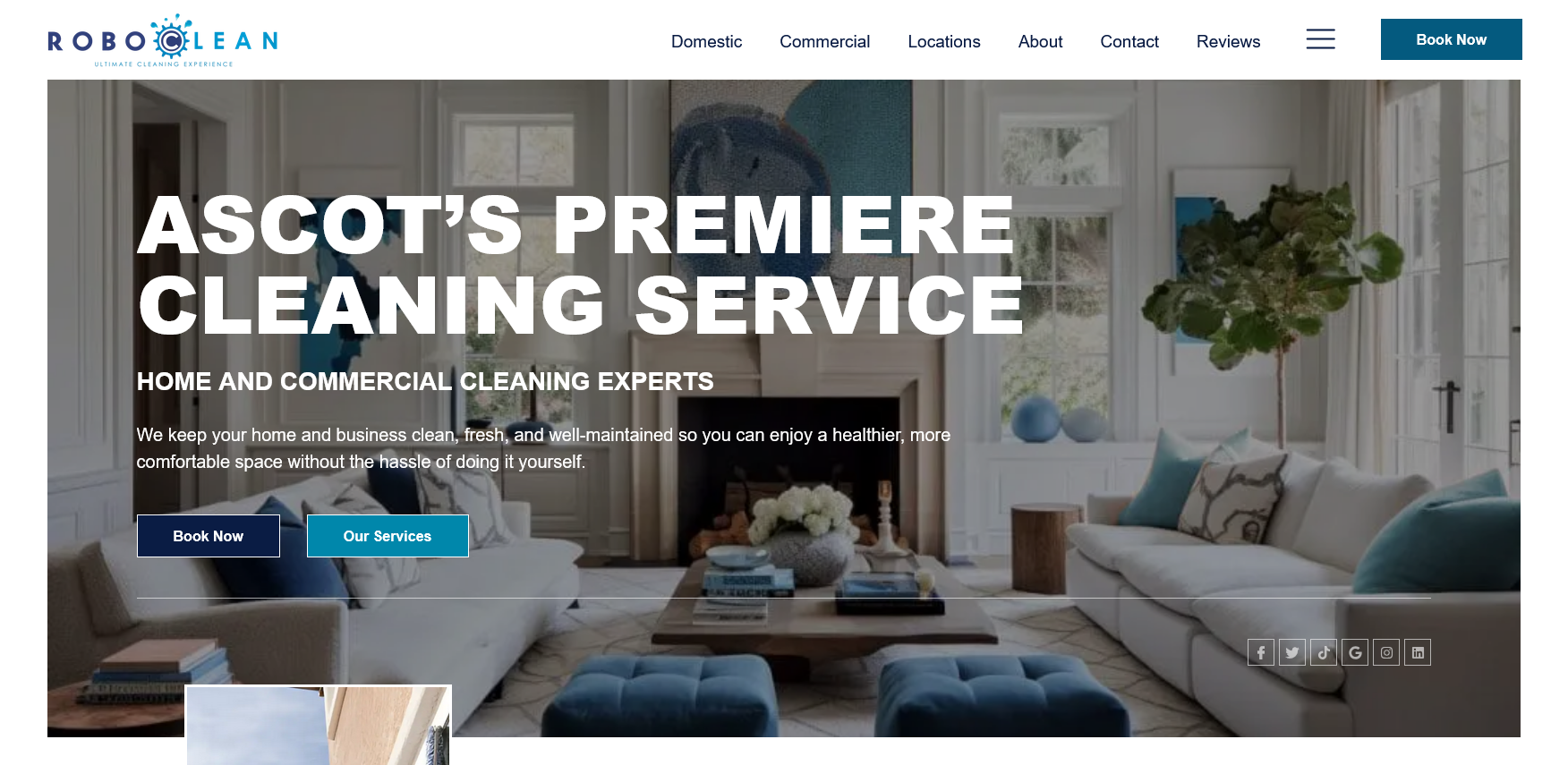 Roboclean Group Website Screenshot 001
