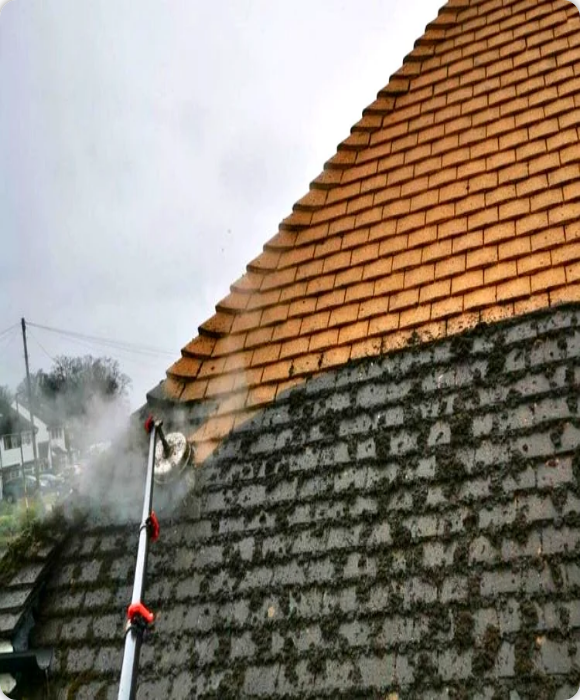Roof Cleaning Bristol | Professional Roof Moss