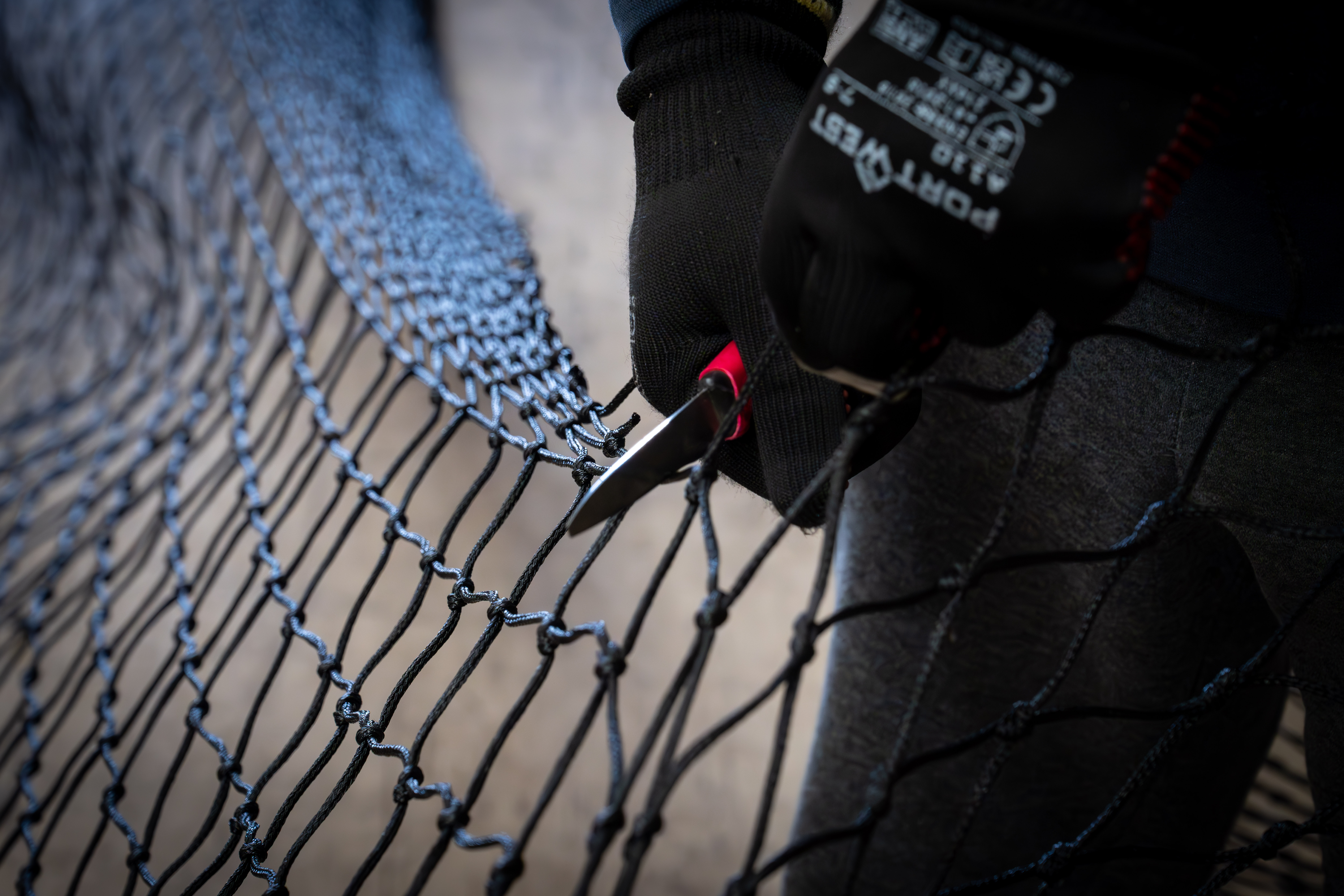 How to Spot When Your Netting Needs Replacing