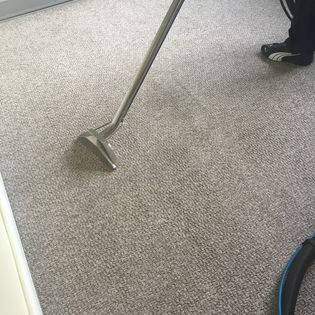 Carpet Cleaning
