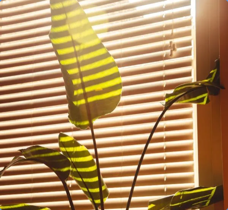 Pleated Window Blinds in Canterbury