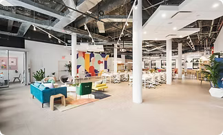 Sustainable Office Cleaning