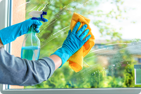 Local Cleaning Services