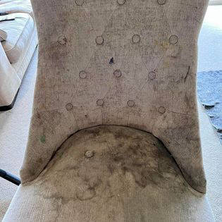 Upholstery Cleaning (Before)