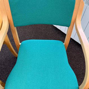 Upholstery Cleaning (After)