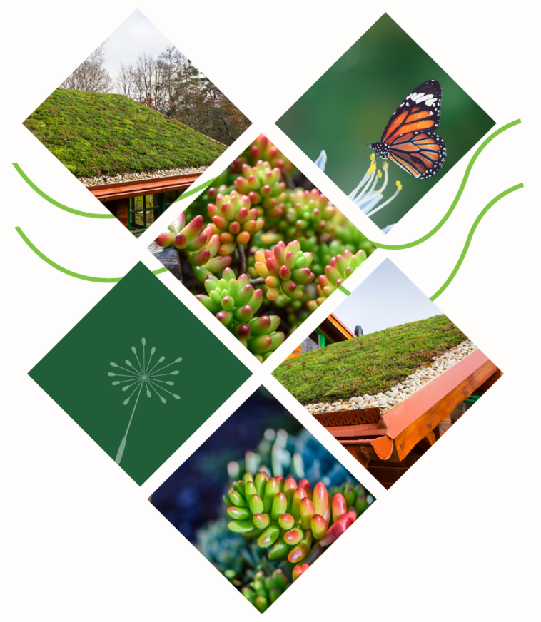 Green Roof Products in Bedfordshire