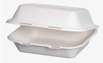Support Sustainability with Bagasse Packaging