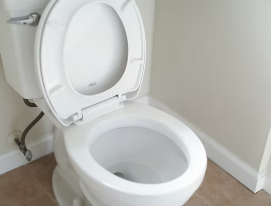 Blocked Toilets in Greater London