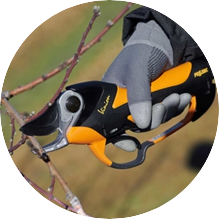 Pellenc Vineyard Equipment