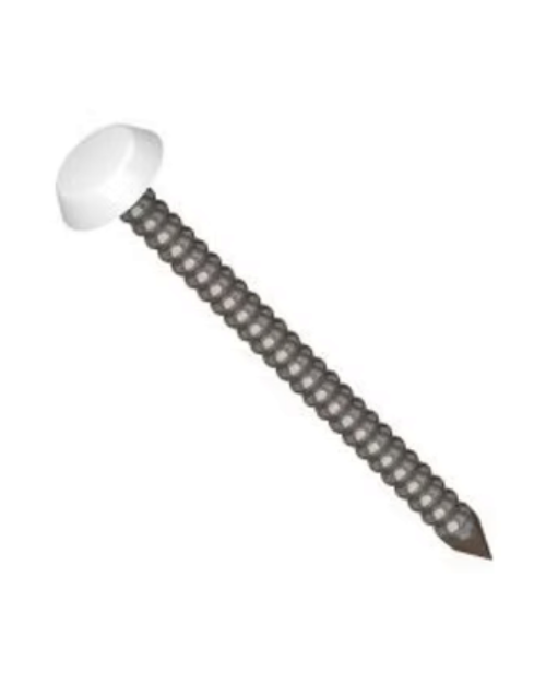 Polytop Stainless Steel Fixing Pins/Nails