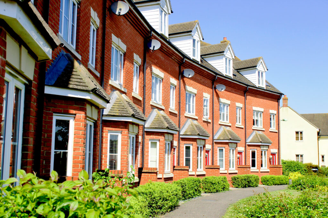 Case Study: Damp & Timber Survey in Battersea