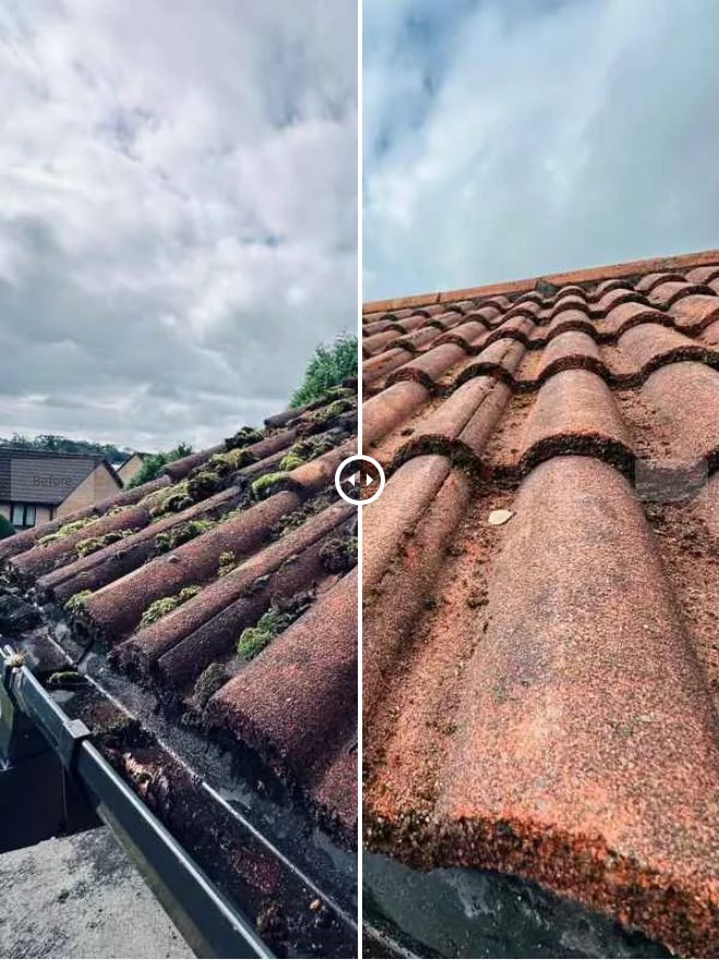 Biocide Roof Treatment Cleaning