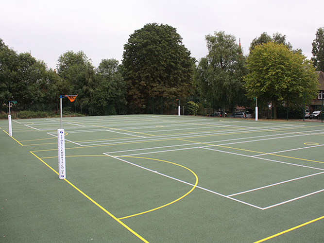 Professional Court Experts