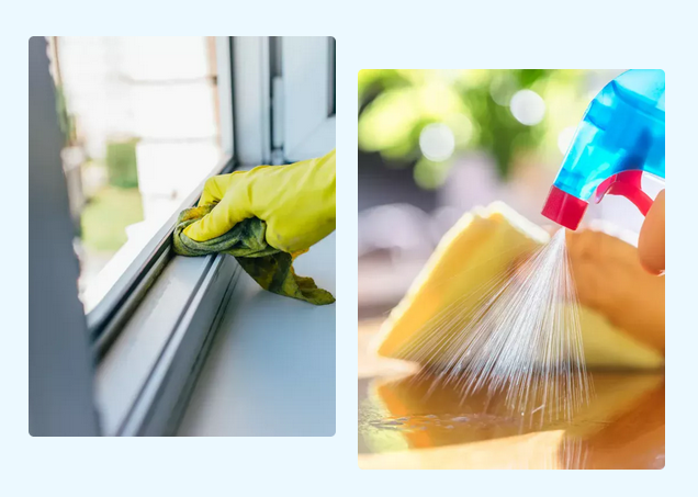 Reliable Domestic Cleaners for Homes in Northampton