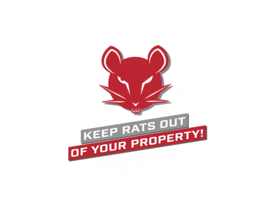 Rat Prevention Pest Control Services