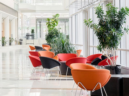 Turnkey Office Fit Out Solutions