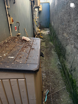 Exterior Cleaning Services