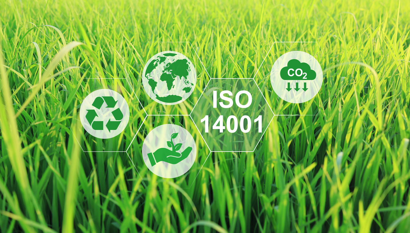 A Guide to ISO 14001 Certification: Preparation, Requirements & Staying Compliant