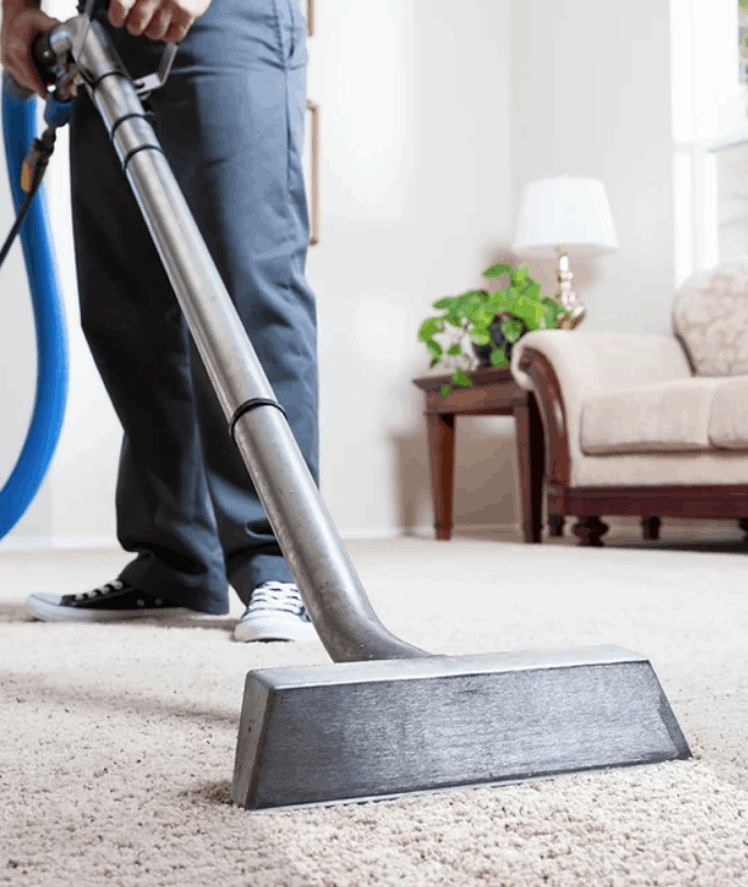 Domestic Carpet Cleaning Services